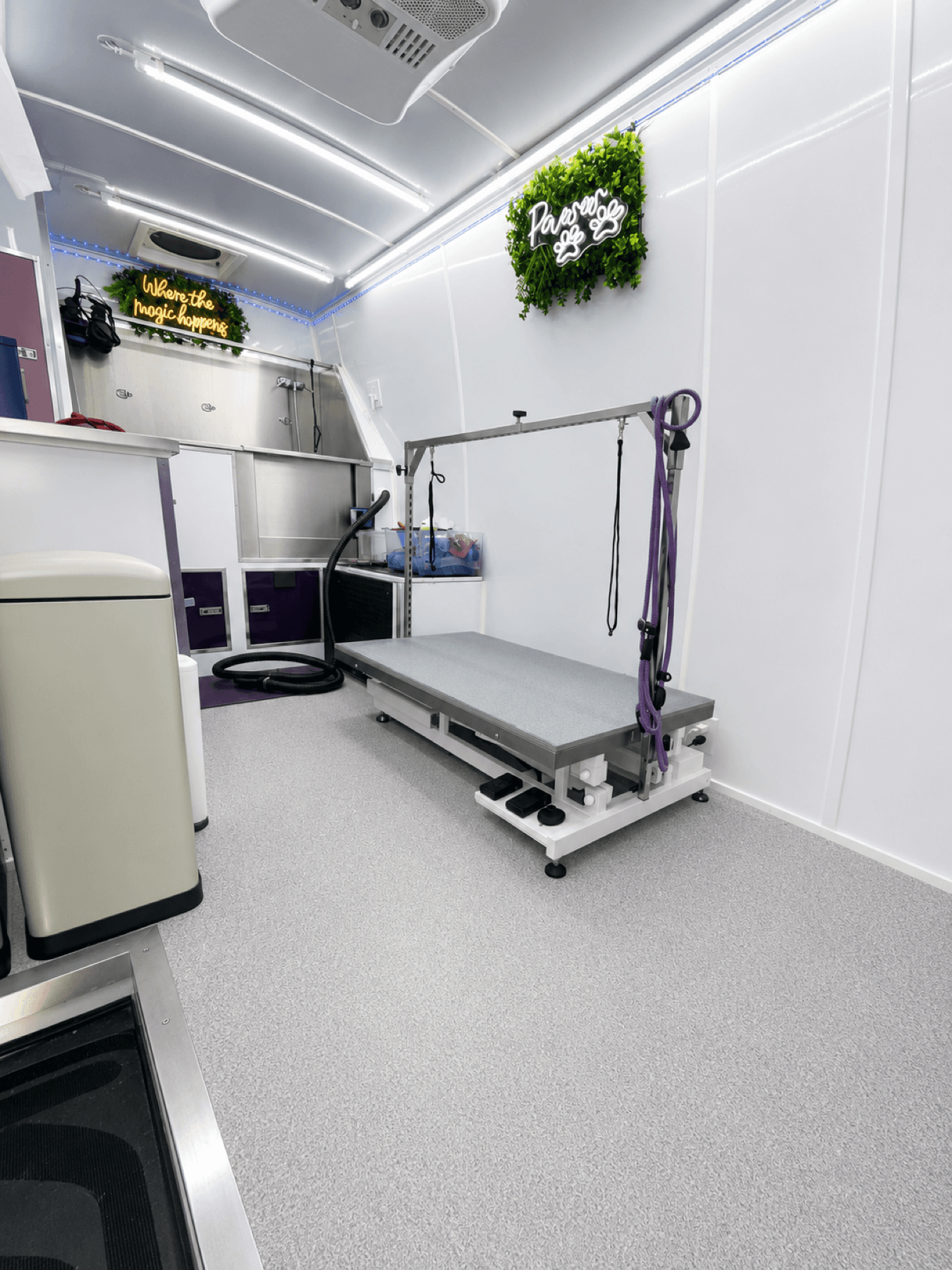 Bright interior of the Healing with Dogs mobile spa
