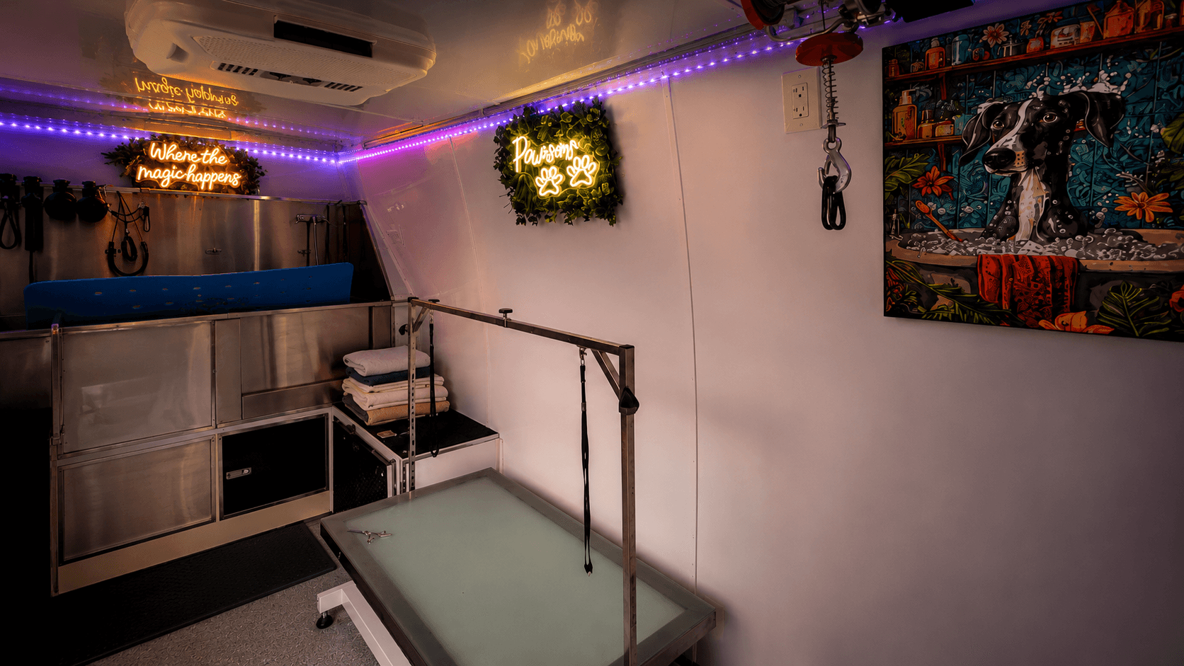 Inside the Healing with Dogs mobile spa with grooming table, tub, neon signs, and product storage